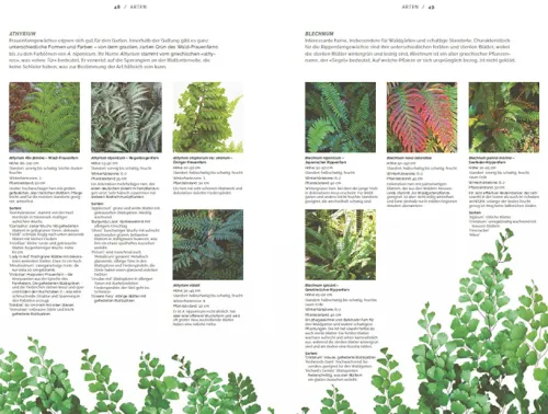 Haupt Verlag AG Biologie-Farne