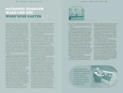 Haupt Verlag AG Biologie-Farne