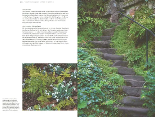 Haupt Verlag AG Biologie-Farne