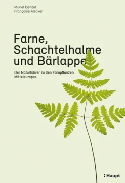 Haupt Verlag AG Biologie-Farne, Schachtelhalme und Bärlappe
