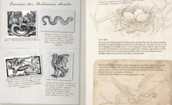 Ars Edition GmbH Nach Zielgruppen*Fast verschwundene Fabelwesen. Die sagenhafte Expedition des Konstantin O. Boldt