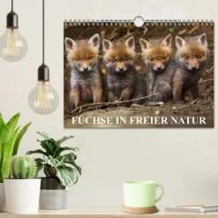 Calvendo Wandkalender-Füchse in freier Natur (Wandkalender 2026 DIN A4 quer), Monatskalender