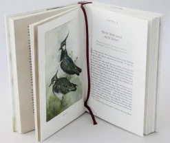 Federnlesen*Ehrenwirth Verlag Hot