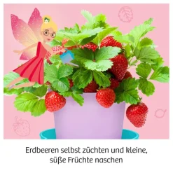 Feen-Erdbeeren*Franckh-Kosmos Outlet
