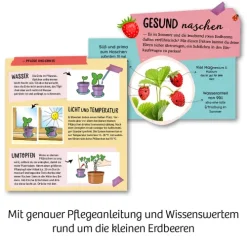 Feen-Erdbeeren*Franckh-Kosmos Outlet