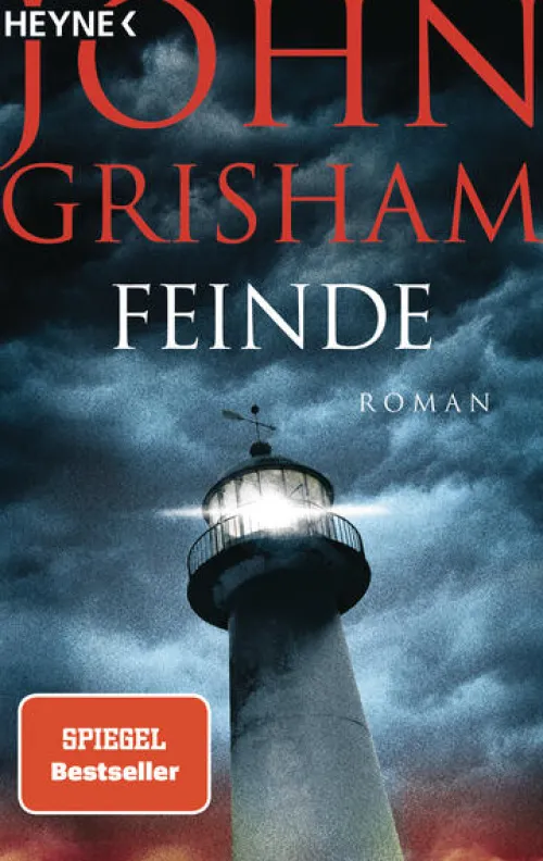 Heyne Taschenbuch Politthriller*Feinde