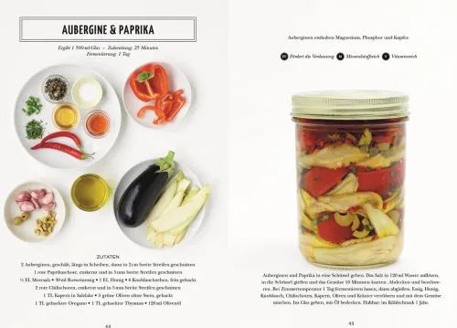 Dorling Kindersley Verlag Vegetarisch|Kochbücher Nach Zubereitung*Fermentieren