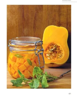 Heel Verlag GmbH Nachhaltigkeit*Fermentieren leicht gemacht: Hausgemachtes aus dem Glas