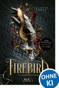 dark Intense Historische Fantasy|Drachen*Flammensturm (Band 1) - Firebird