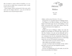 Flammensturm (Band 1) - Firebird*Loewe Verlag GmbH Hot