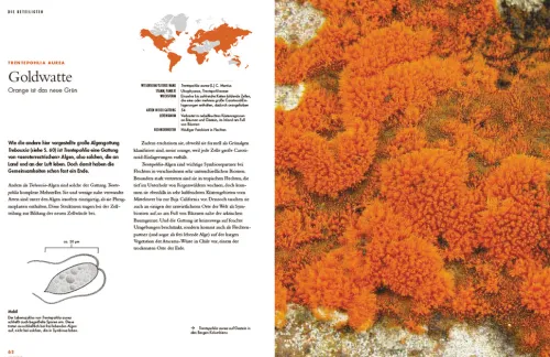 Haupt Verlag AG Biologie-Flechten