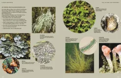 Haupt Verlag AG Biologie-Flechten