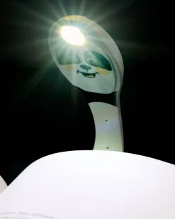 Flexilight Leselicht (Panda) - schwarz - 2 in 1 Leselampe & Lesezeichen - LED Leselicht - Geschenk für Leser, Buchliebhaber - Deutsche Ausgabe*Bookchair Vertrieb