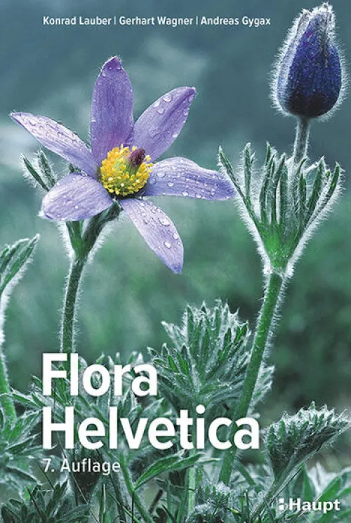 Haupt Verlag AG Biologie-Flora Helvetica - Illustrierte Flora der Schweiz