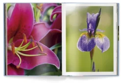 teNeues Verlag GmbH Architektur & Wohnen-Floramour: Lilien