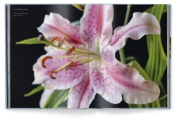 teNeues Verlag GmbH Architektur & Wohnen-Floramour: Lilien