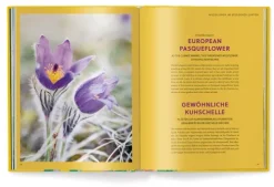 teNeues Verlag GmbH Architektur & Wohnen*Floramour: Wild Flowers