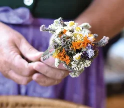 teNeues Verlag GmbH Architektur & Wohnen*Floramour: Wildblumen