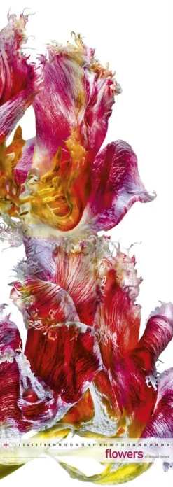 Edition Panorama GmbH Immerwährender Kalender-Flowers