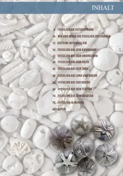 Demmler Verlag GmbH Geowissenschaft*Fossilien am Ostseestrand