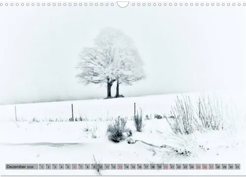 Franken WildRomantisch (Wandkalender 2026 DIN A3 quer), Monatskalender*Calvendo Best