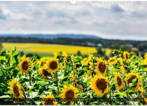 Franken WildRomantisch (Wandkalender 2026 DIN A3 quer), Monatskalender*Calvendo Best