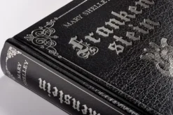 Frankenstein. Ein Schauerroman*Anaconda Verlag Online