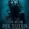 Festa Verlag Horror Gegenwart-From Below - Die Toten warten