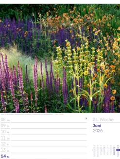 Ackermann Kunstverlag Wochenkalender*Gartenglück Wochenplaner Kalender 2026