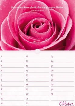 Neumann Verlage GmbH & Co Immerwährender Kalender*Geburtstagskalender Blütenpracht immerwährend