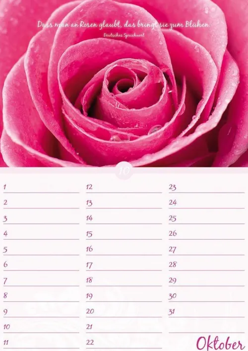 Neumann Verlage GmbH & Co Immerwährender Kalender*Geburtstagskalender Blütenpracht immerwährend