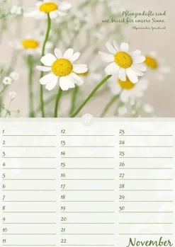 Neumann Verlage GmbH & Co Immerwährender Kalender*Geburtstagskalender Blütenpracht immerwährend