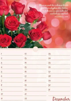 Neumann Verlage GmbH & Co Immerwährender Kalender*Geburtstagskalender Blütenpracht immerwährend