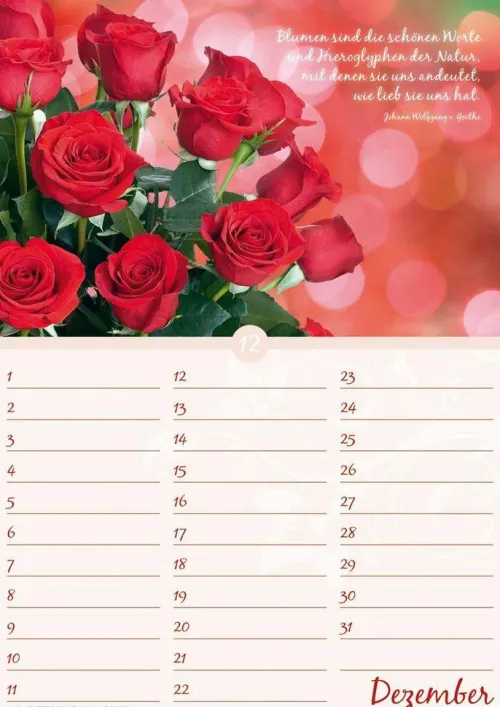 Neumann Verlage GmbH & Co Immerwährender Kalender*Geburtstagskalender Blütenpracht immerwährend