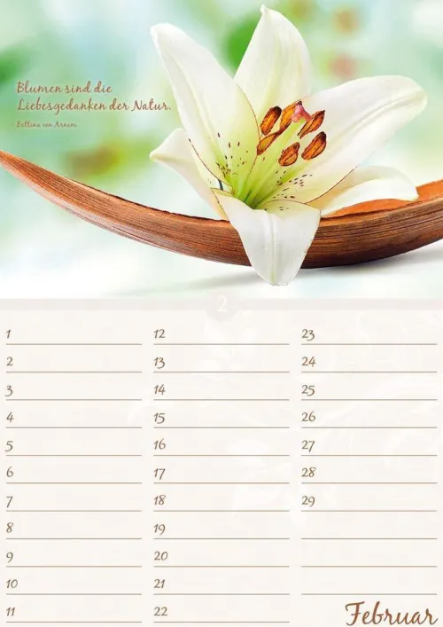 Neumann Verlage GmbH & Co Immerwährender Kalender*Geburtstagskalender Blütenpracht immerwährend