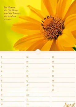 Neumann Verlage GmbH & Co Immerwährender Kalender*Geburtstagskalender Blütenpracht immerwährend
