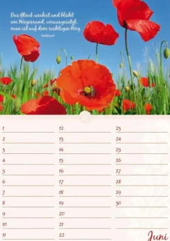 Neumann Verlage GmbH & Co Immerwährender Kalender*Geburtstagskalender Blütenpracht immerwährend