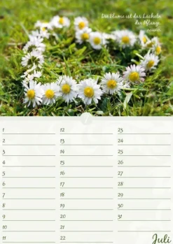 Neumann Verlage GmbH & Co Immerwährender Kalender*Geburtstagskalender Blütenpracht immerwährend