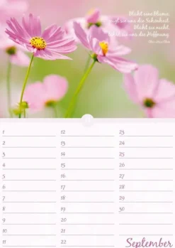 Neumann Verlage GmbH & Co Immerwährender Kalender*Geburtstagskalender Blütenpracht immerwährend