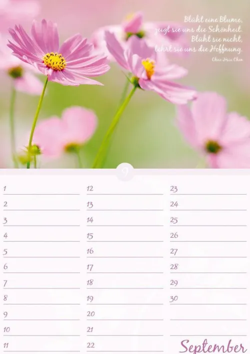 Neumann Verlage GmbH & Co Immerwährender Kalender*Geburtstagskalender Blütenpracht immerwährend
