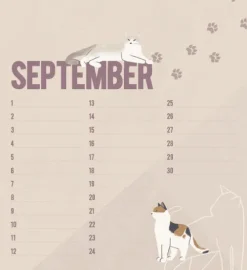 Geburtstagskalender Cats*Korsch Verlag GmbH Best