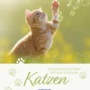 Korsch Verlag GmbH Geburtstagskalender-Geburtstagskalender Katzen
