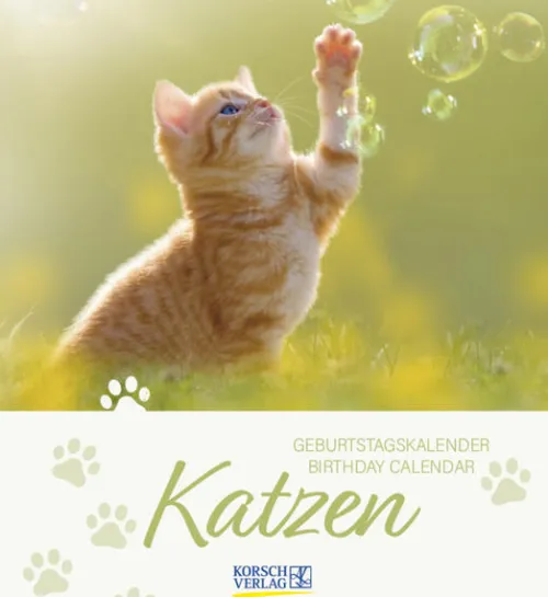 Korsch Verlag GmbH Geburtstagskalender-Geburtstagskalender Katzen