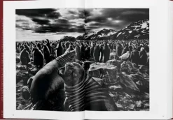 Taschen GmbH Künstler:Innen Im Fokus-GENESIS