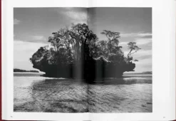 Taschen GmbH Künstler:Innen Im Fokus-GENESIS