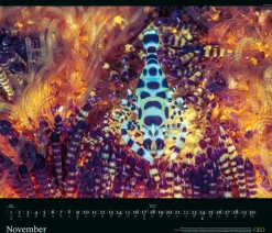 GEO - GEO Edition: Tierwelten 2026 - Wandkalender 70x60 cm, Tier-Poster-Kalender mit Wildlife-Fotografie, 12 Monatsblätter & Spiralbindung inkl. Postkarten für Tier- und Naturfreunde*teNeues Calendars & Stationery GmbH & Co. KG Best