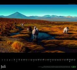 Neumann Verlage GmbH & Co Posterkalender-GEO Traumziele 2026 - Wand-Kalender - Reise-Kalender - Poster-Kalender - 50x45