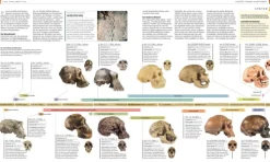 Dorling Kindersley Verlag Geschichte|Geschichte-Geschichte