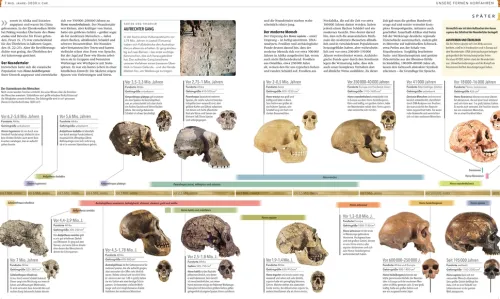 Dorling Kindersley Verlag Geschichte|Geschichte-Geschichte