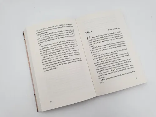 Piper Verlag GmbH Schicksalsromane-Geteiltes Land - Zwischen Hoffnung und Aufbruch